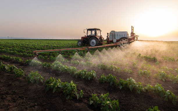 Best Mosquito Control Services  in Birdsboro, PA