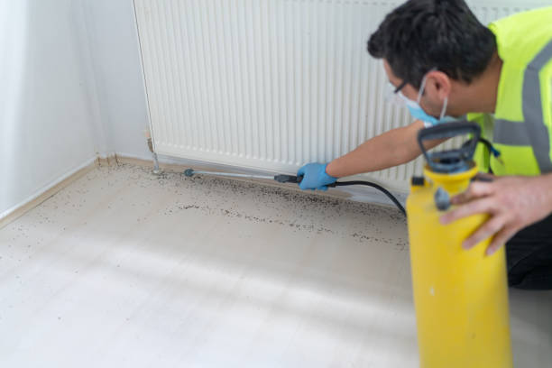 Best Affordable Pest Control Services  in Birdsboro, PA